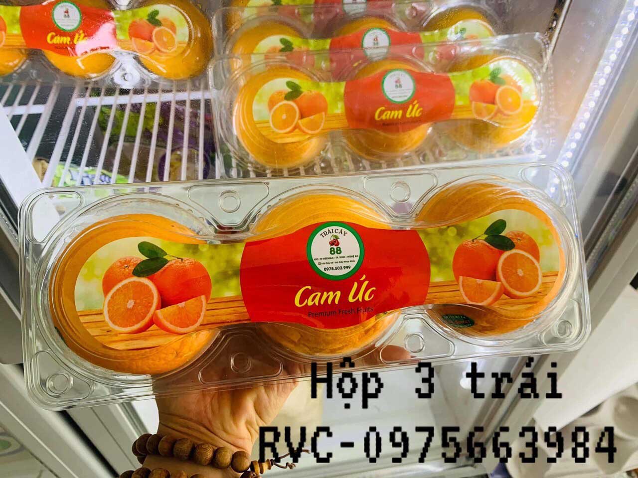 Gợi ý mẫu hộp nhựa đựng trái cây chất lượng trên thị trường.  Hop-nhua-3-trai-tao(2)