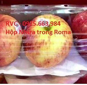 Hộp nhựa trong đựng trái cây Roma