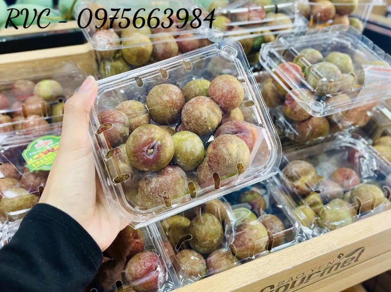 hop-nhua-500gr.jpg